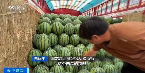 娱乐吃瓜酱紫金玫瑰